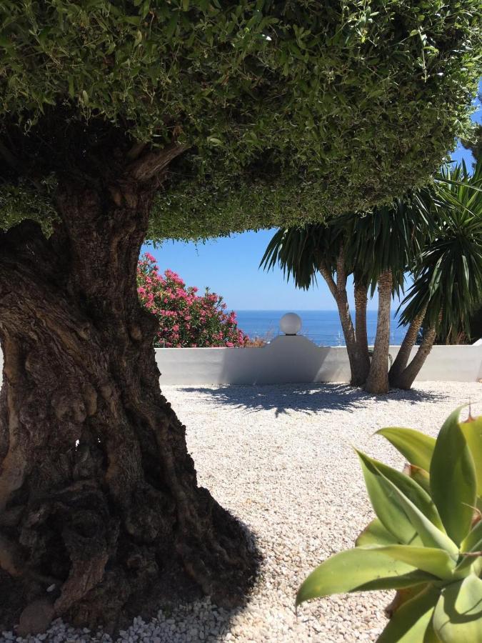 Casa Capricornio Bed & Breakfast Marbella Bagian luar foto