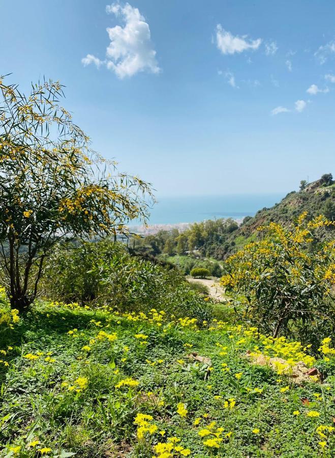 Casa Capricornio Bed & Breakfast Marbella Bagian luar foto